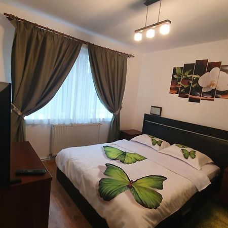 Apartament Cosbuc Baia Mare Exterior foto
