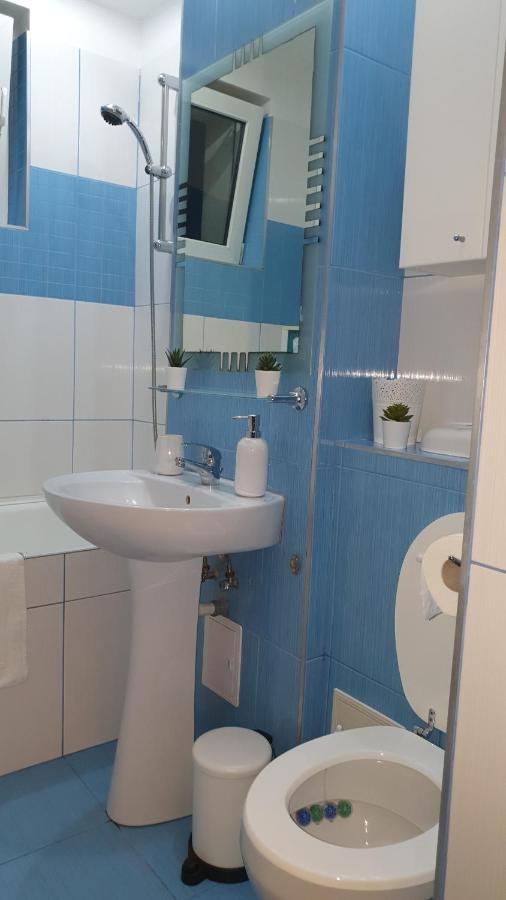 Apartament Cosbuc Baia Mare Exterior foto