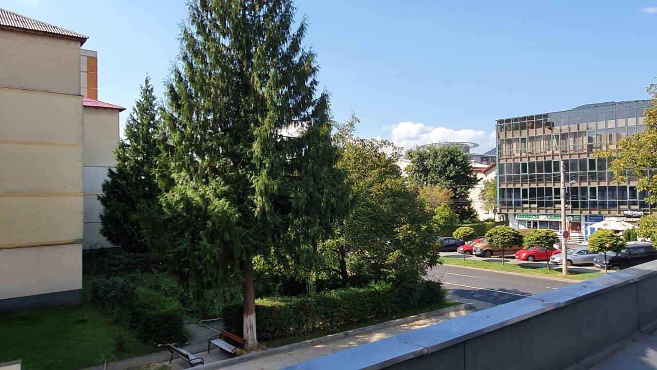 Apartament Cosbuc Baia Mare Exterior foto