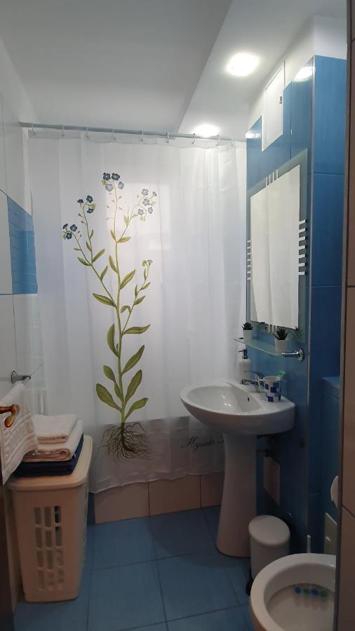 Apartament Cosbuc Baia Mare Exterior foto