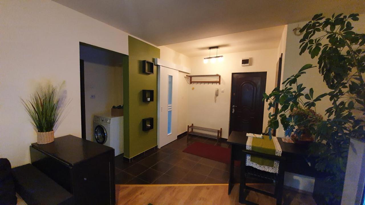 Apartament Cosbuc Baia Mare Exterior foto