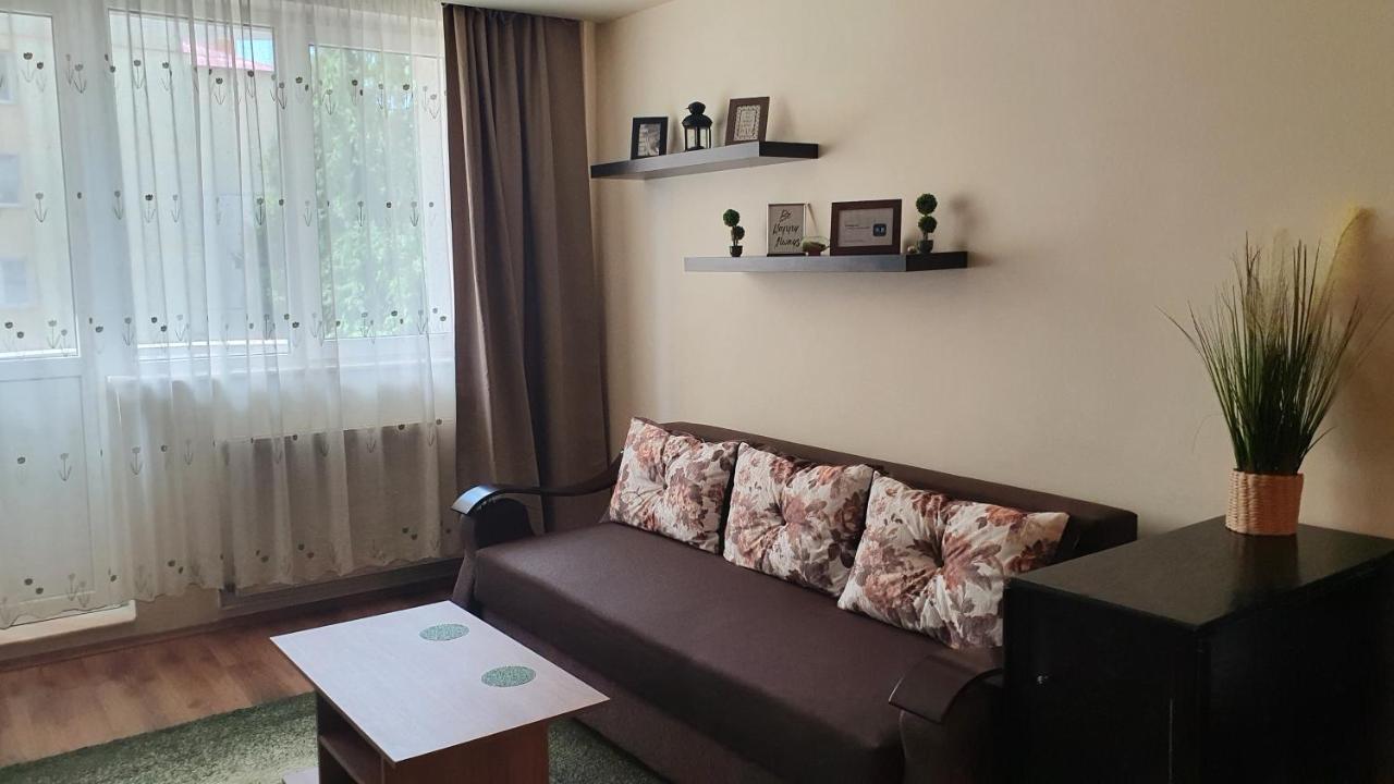 Apartament Cosbuc Baia Mare Exterior foto