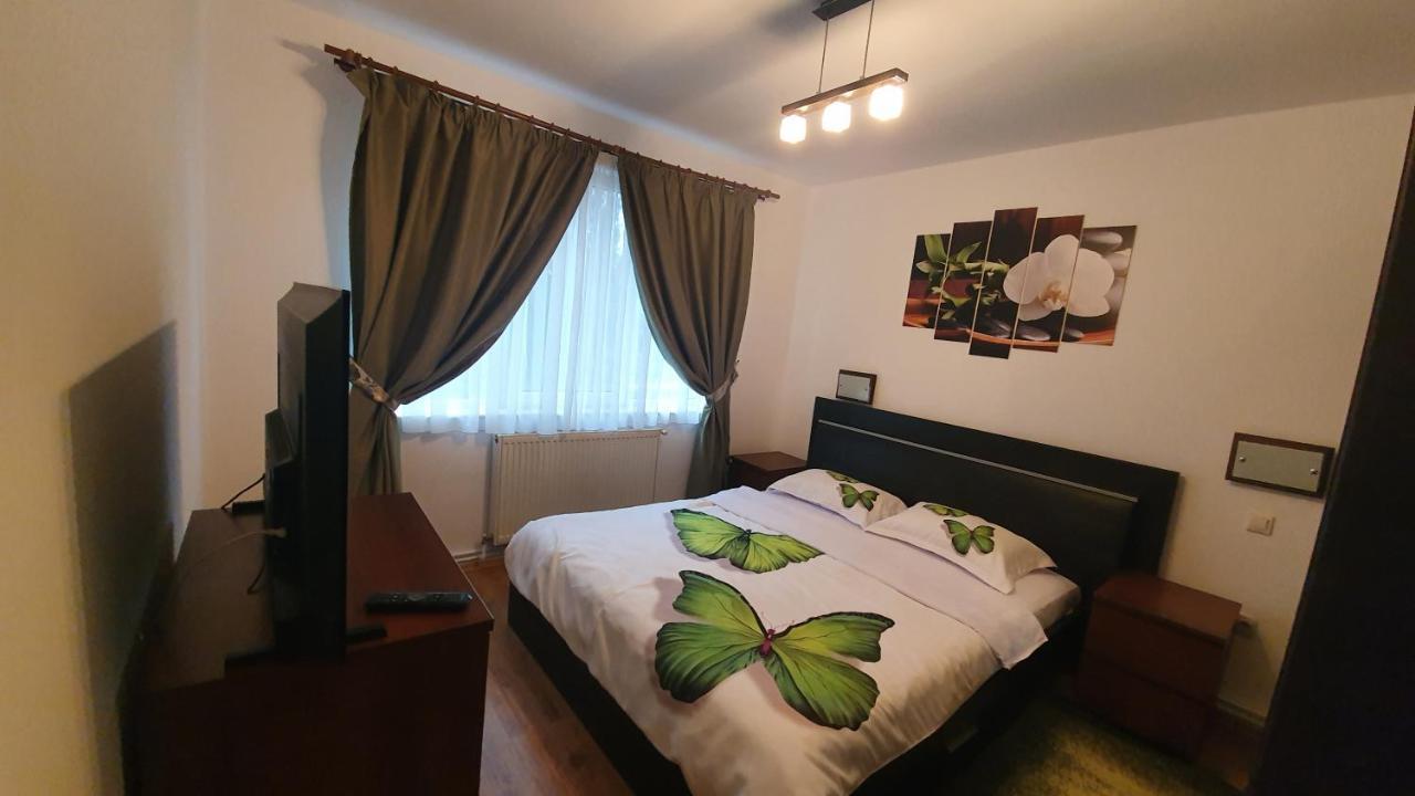 Apartament Cosbuc Baia Mare Exterior foto